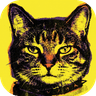 Logo de La curiosidad mato al gato: un gato en estilo pop-art
