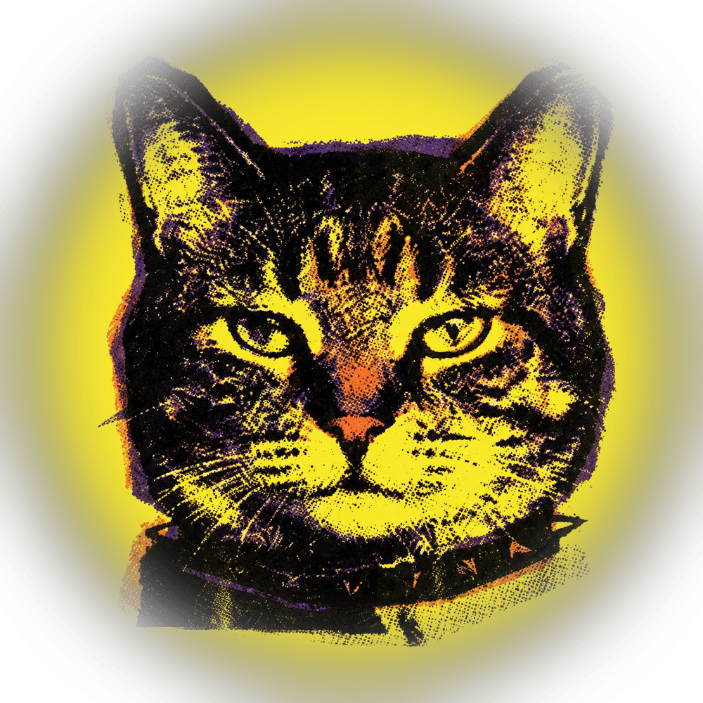 Gato de la marca La curiosidad mato al gato, en estilo pop-art halftone